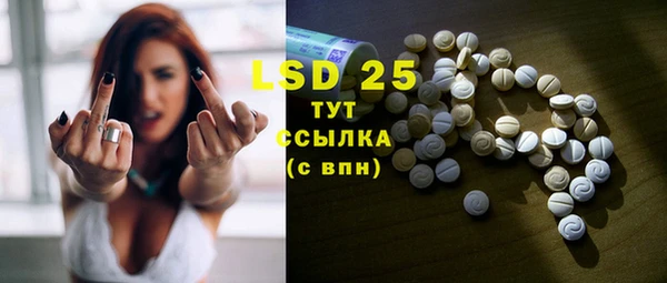 прущие грибы Балахна