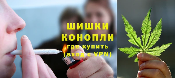 винт Арсеньев