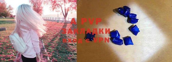 винт Арсеньев