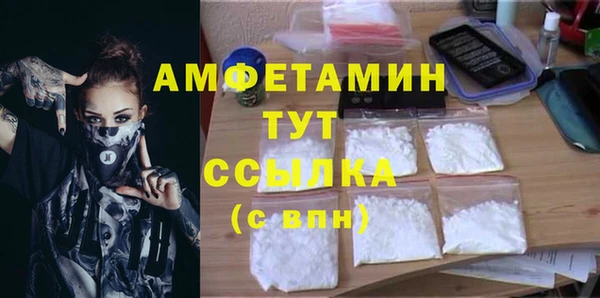 прущие грибы Балахна